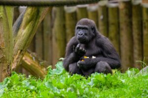 Zoo Duisburg Themenführung im Winter